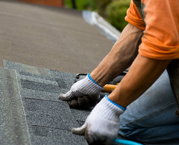 Best Flat Roof Repair Services  in Naples Manor, FL